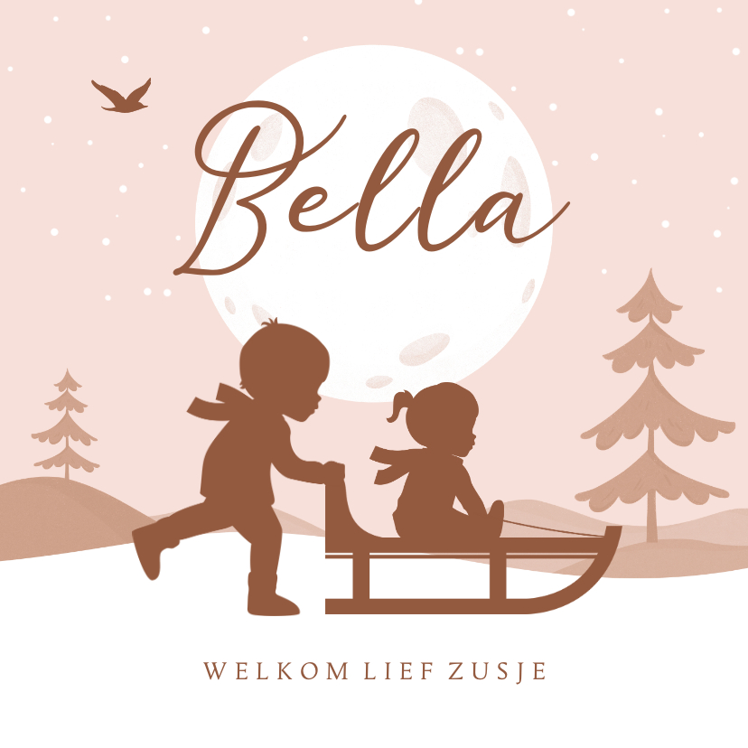Geboortekaartje zusje broer winter slee sneeuw silhouet maan - Geboortekaartjes Geboortekaartjes - Geboortekaartje zusje broer winter slee sneeuw silhouet maan
