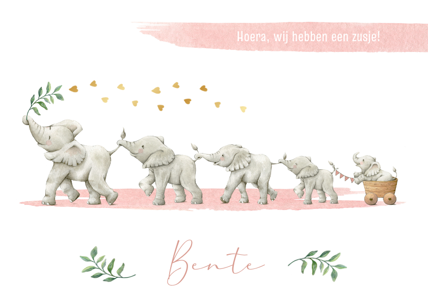 Geboortekaartjes - Geboortekaartje zusje vijf olifantjes op een rij