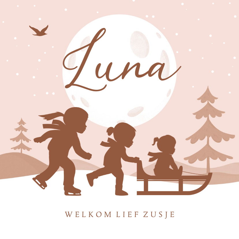 Geboortekaartje zusje winter slee sneeuw silhouetjes - Geboortekaartjes Geboortekaartjes - Geboortekaartje zusje winter slee sneeuw silhouetjes