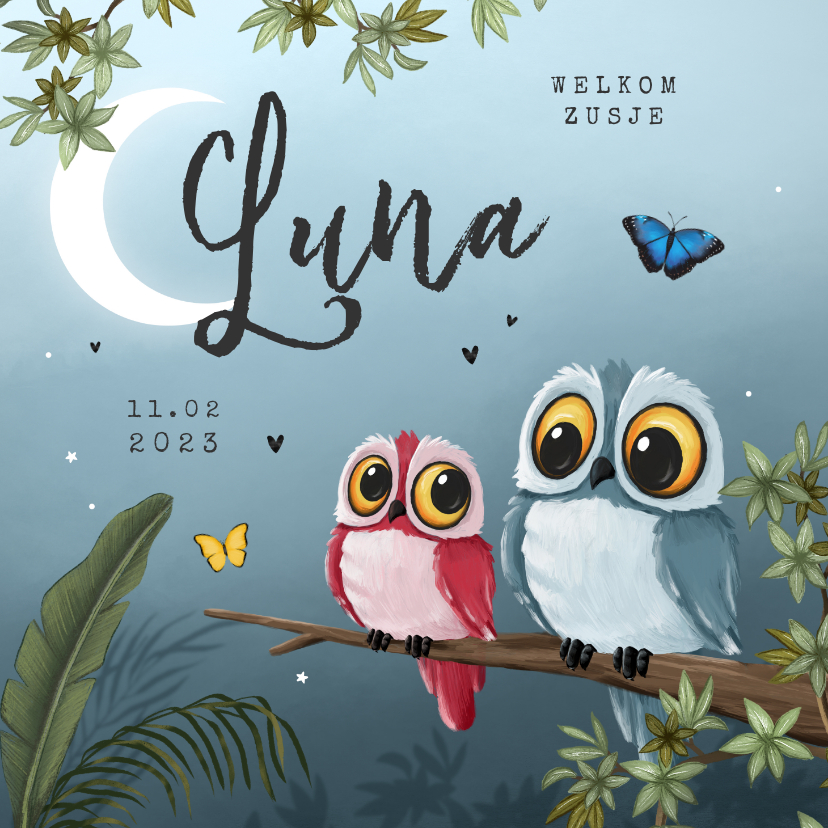 Geboortekaartjes jungle dieren uil maan boom - Geboortekaartjes Geboortekaartjes - Geboortekaartjes jungle dieren uil maan boom