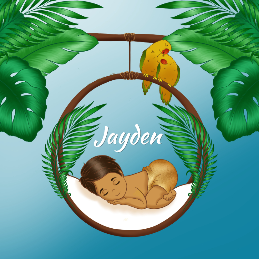 Geboortekaartjes - Gekleurd bruin kindje slapend in een wiegje in de jungle 