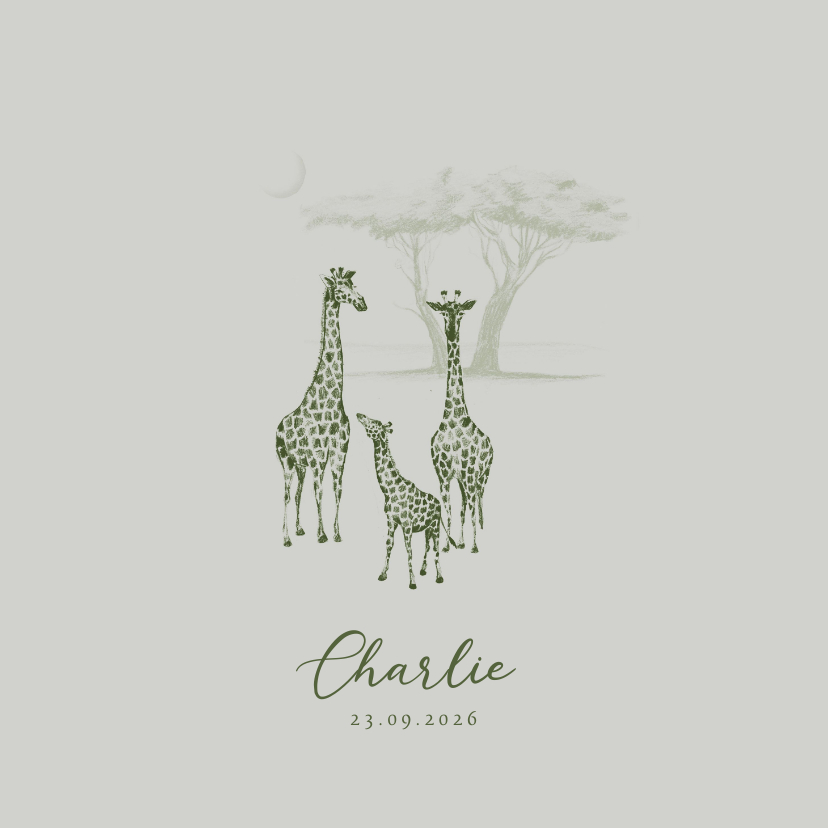 Groen geboortekaartje jungle drie giraffen getekend - Geboortekaartjes Geboortekaartjes - Groen geboortekaartje jungle drie giraffen getekend