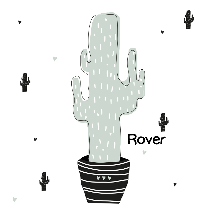 Hip geboortekaartje cactus mint - Geboortekaartjes Geboortekaartjes - Hip geboortekaartje cactus mint