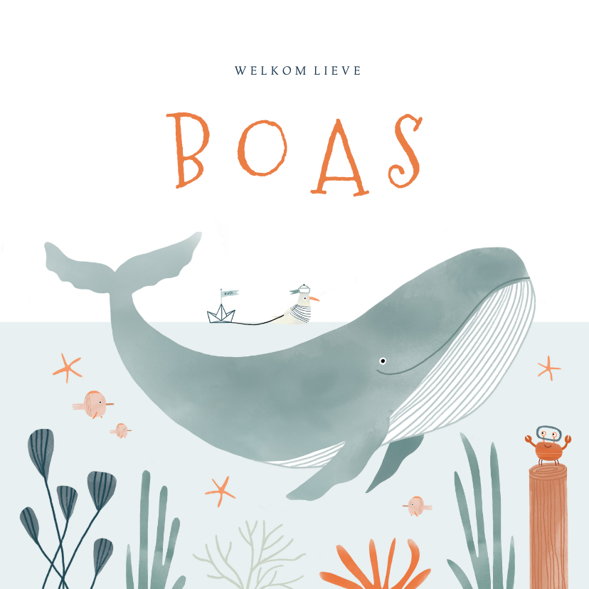 Hip geboortekaartje oceaan walvis dieren illustratie - Geboortekaartjes Geboortekaartjes - Hip geboortekaartje oceaan walvis dieren illustratie