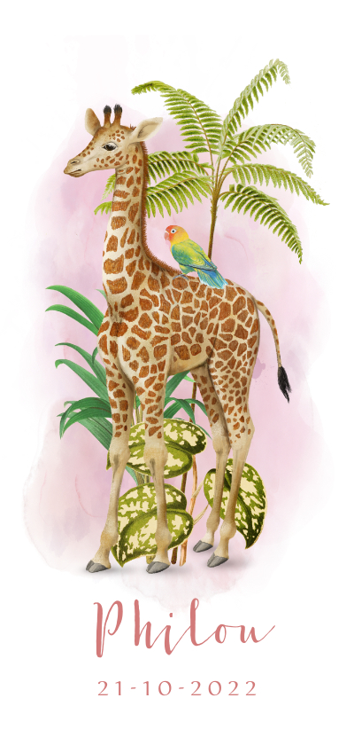 Langwerpig geboortekaartje giraffe met papegaait - Geboortekaartjes Geboortekaartjes - Langwerpig geboortekaartje giraffe met papegaait