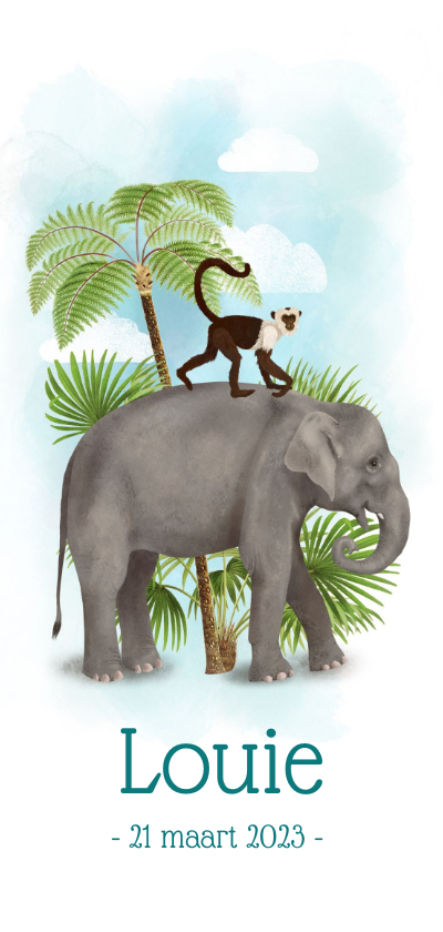 Langwerpig geboortekaartje olifant met aapje - Geboortekaartjes Geboortekaartjes - Langwerpig geboortekaartje olifant met aapje