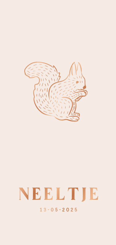 Geboortekaartjes - Lief beige geboortekaartje met eekhoorntje 