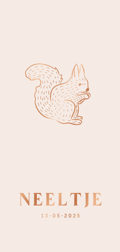 Lief beige geboortekaartje met eekhoorntje - Geboortekaartjes Geboortekaartjes - Lief beige geboortekaartje met eekhoorntje