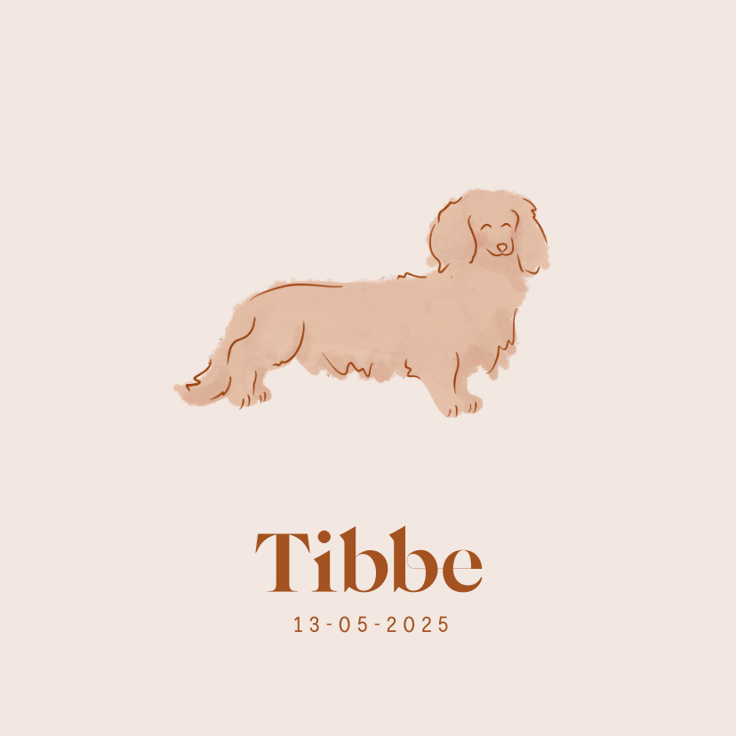 Lief beige geboortekaartje met teckeltje - Geboortekaartjes Geboortekaartjes - Lief beige geboortekaartje met teckeltje