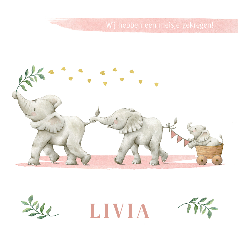 Geboortekaartjes - Lief en vrolijk geboortekaartje meisje met olifantjes