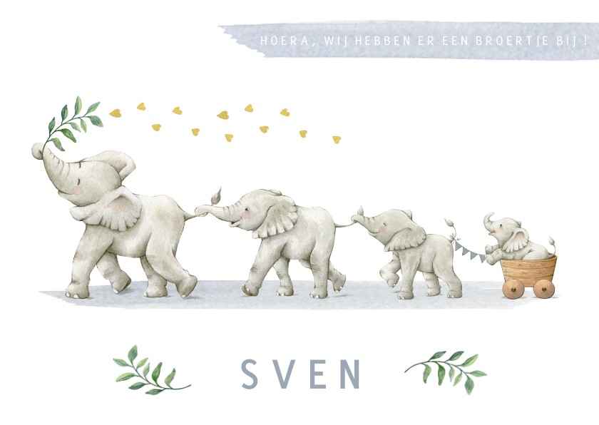 Geboortekaartjes - Lief geboortekaartje broertje met vier vrolijke olifantjes