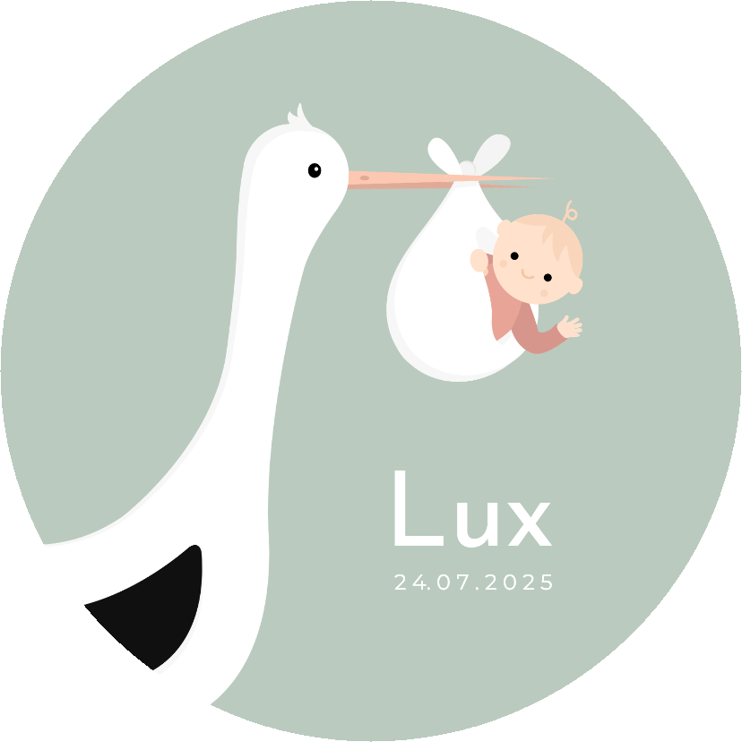 Lief geboortekaartje in ronde vorm met ooievaar & baby - Geboortekaartjes Geboortekaartjes - Lief geboortekaartje in ronde vorm met ooievaar & baby