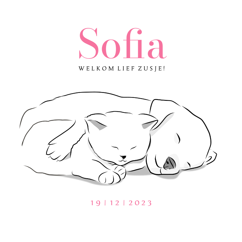 Geboortekaartjes - Lief geboortekaartje meisje tweede kind met kitten en puppy