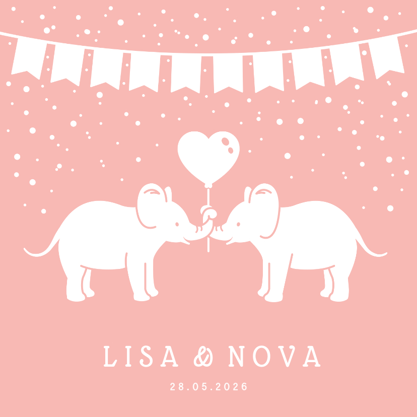 Geboortekaartjes - Lief geboortekaartje meisjes tweeling met 2 olifantjes 