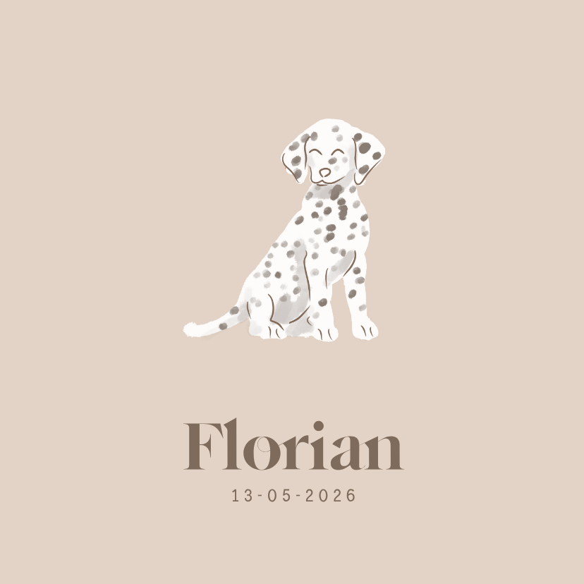 Geboortekaartjes - Lief geboortekaartje met dalmatiër hondje