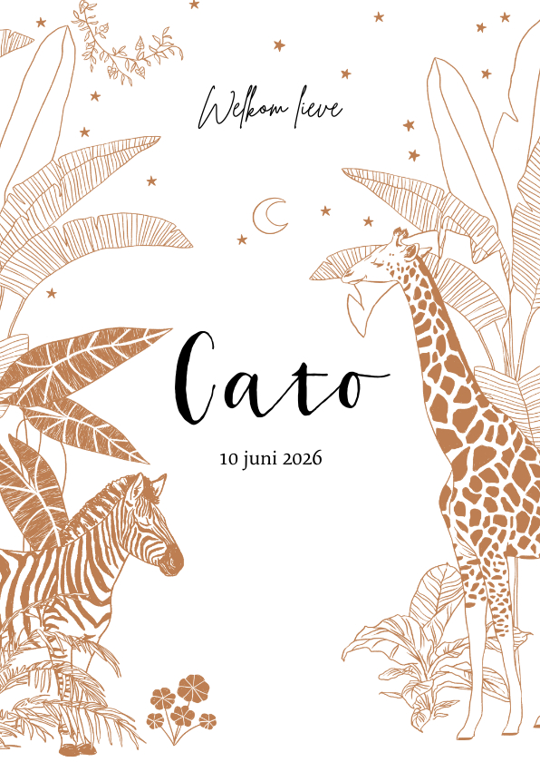 Lief geboortekaartje met jungledieren en sterretjes in Terra - Geboortekaartjes Geboortekaartjes - Lief geboortekaartje met jungledieren en sterretjes in Terra