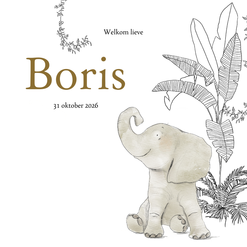 Lief geboortekaartje met olifant en jungle elementen - Geboortekaartjes Geboortekaartjes - Lief geboortekaartje met olifant en jungle elementen