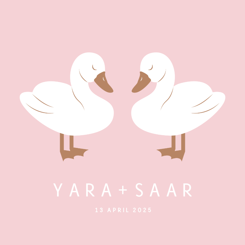Geboortekaartjes - Lief geboortekaartje met twee zwaantjes roze