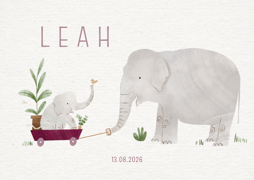 Geboortekaartjes -  Lief geboortekaartje olifantje paarse bolderkar planten