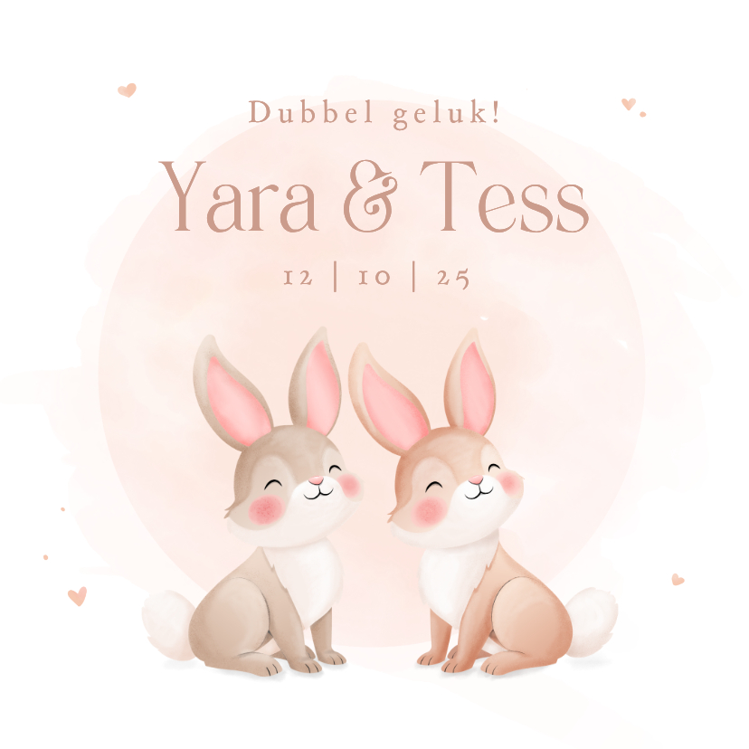 Lief geboortekaartje tweeling pastel illustratie konijntjes - Geboortekaartjes Geboortekaartjes - Lief geboortekaartje tweeling pastel illustratie konijntjes