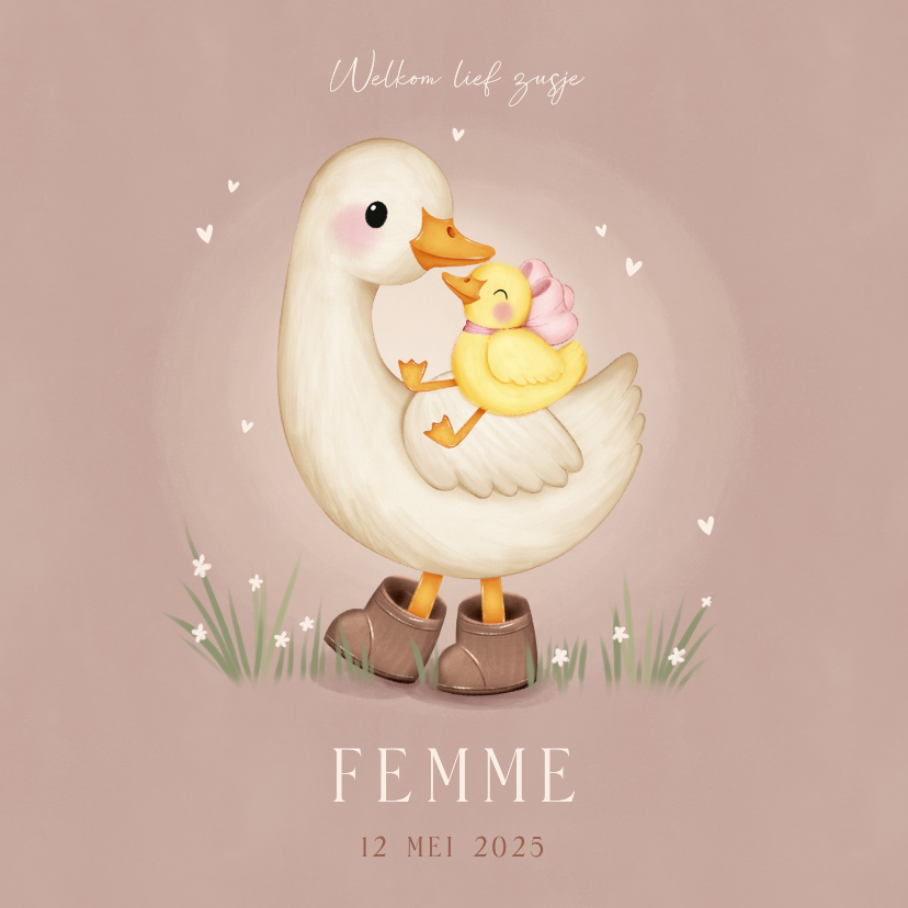 Lief geboortekaartje voor een zusje ganzen in het gras - Geboortekaartjes Geboortekaartjes - Lief geboortekaartje voor een zusje ganzen in het gras