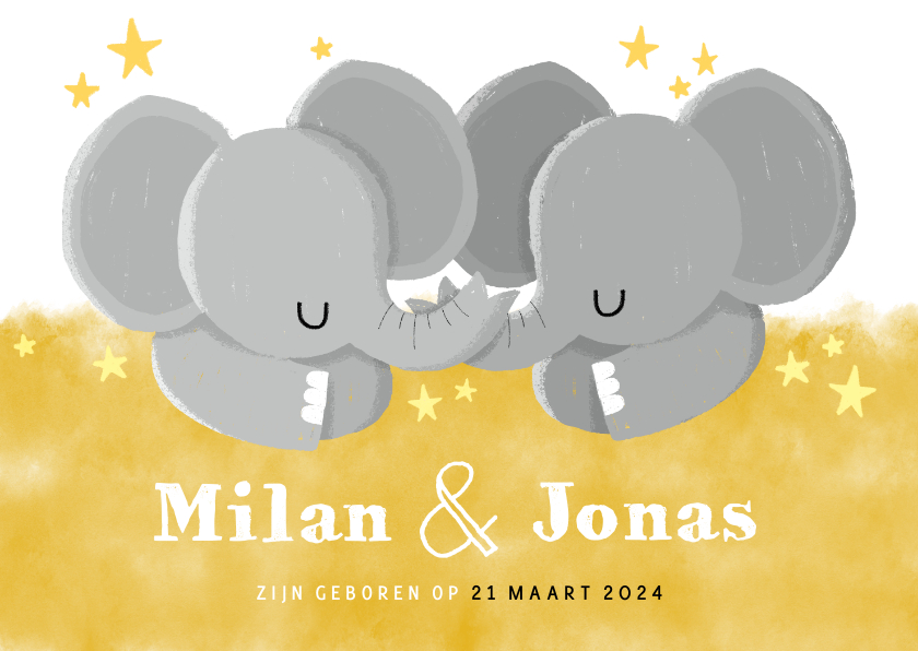 Lief geboortekaartje voor tweeling met olifantjes en sterren - Geboortekaartjes Geboortekaartjes - Lief geboortekaartje voor tweeling met olifantjes en sterren