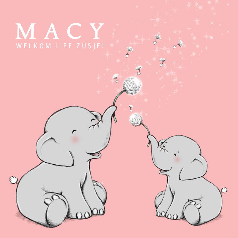 Lief geboortekaartje zusje met olifantjes en paardebloem - Geboortekaartjes Geboortekaartjes - Lief geboortekaartje zusje met olifantjes en paardebloem
