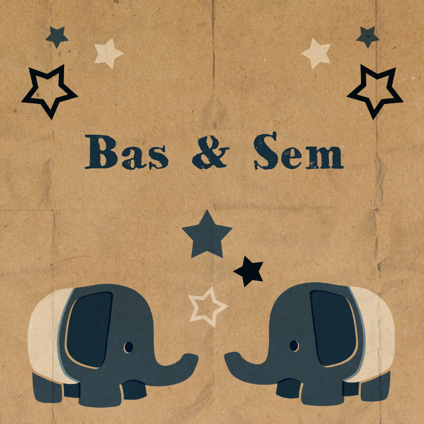 Olifant retro tweeling jongens - Geboortekaartjes Geboortekaartjes - Olifant retro tweeling jongens