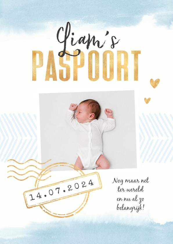 Geboortekaartjes - Paspoort geboortekaartje waterverf jongen stempels goud