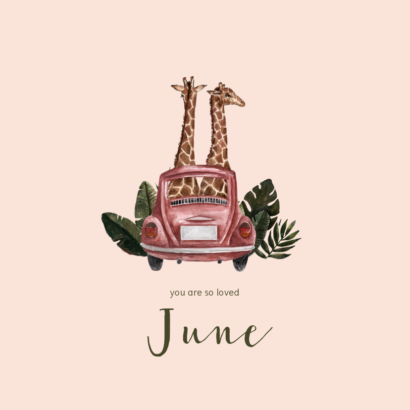 Roze geboortekaartje met illustratie van giraffen in auto - Geboortekaartjes Geboortekaartjes - Roze geboortekaartje met illustratie van giraffen in auto