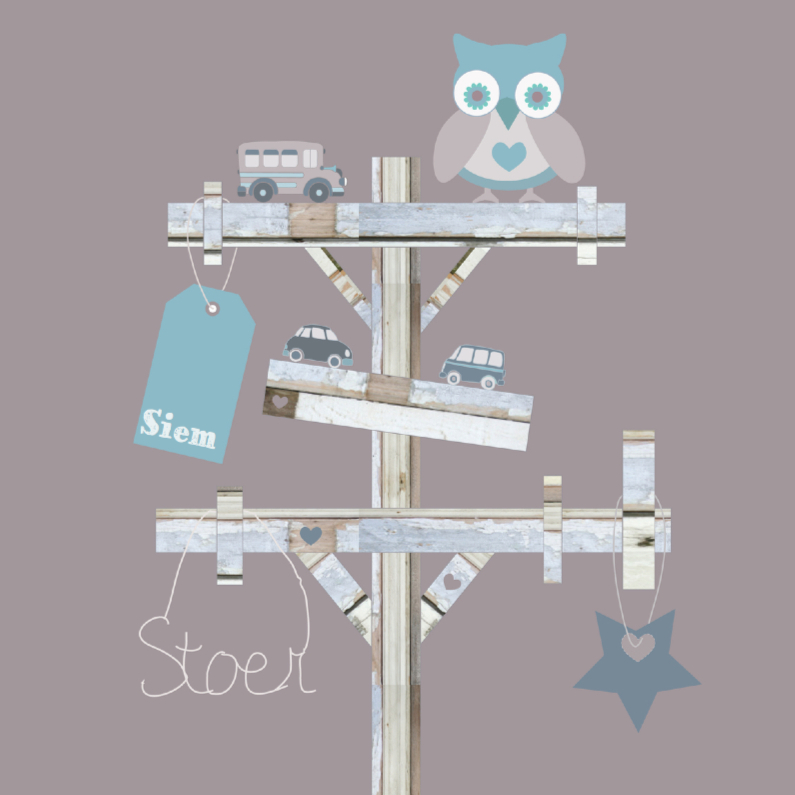 Stoer geboortekaartje Jongen uil - Geboortekaartjes Geboortekaartjes - Stoer geboortekaartje Jongen uil