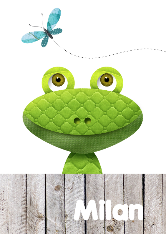 Stoere kikker met vlinder - Geboortekaartjes Geboortekaartjes - Stoere kikker met vlinder