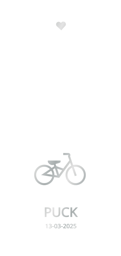 Strak geboortekaartje met fietsje in zilver - Geboortekaartjes Geboortekaartjes - Strak geboortekaartje met fietsje in zilver