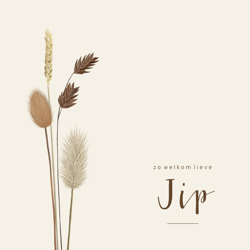 Trendy unisex geboortekaartje met droogbloemen - Geboortekaartjes Geboortekaartjes - Trendy unisex geboortekaartje met droogbloemen