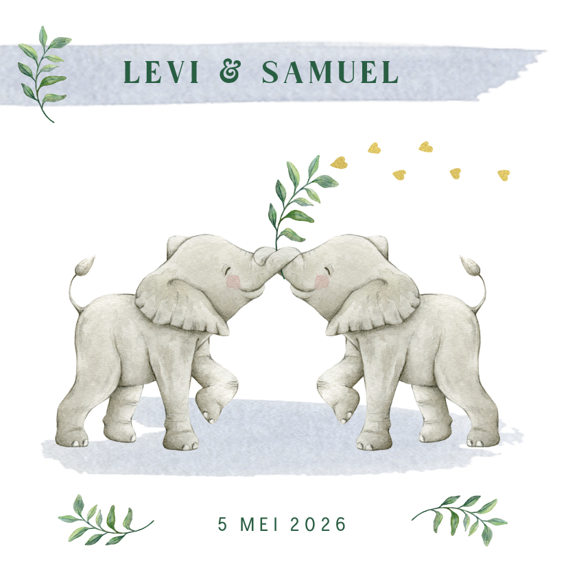 Geboortekaartjes - Tweeling geboortekaartje jongens met lieve olifantjes