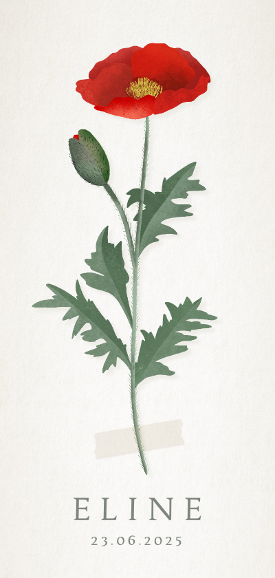 Vintage botanisch geboortekaartje met klaproos illustratie - Geboortekaartjes Geboortekaartjes - Vintage botanisch geboortekaartje met klaproos illustratie