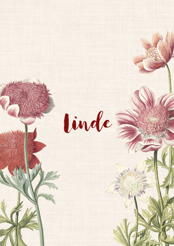 Vintage geboortekaartje voor een meisje met anemonen - Geboortekaartjes Geboortekaartjes - Vintage geboortekaartje voor een meisje met anemonen