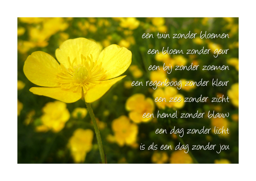 Gedicht boterbloem - dag zonder jou - Gedichtenkaarten Gedichtenkaarten - Gedicht boterbloem - dag zonder jou