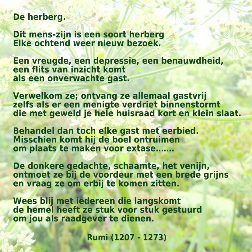 Gedicht De Herberg van Rumi IW - Gedichtenkaarten Gedichtenkaarten - Gedicht De Herberg van Rumi IW