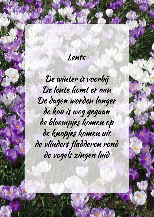 Gedichtenkaart krokussen lente - Gedichtenkaarten Gedichtenkaarten - Gedichtenkaart krokussen lente