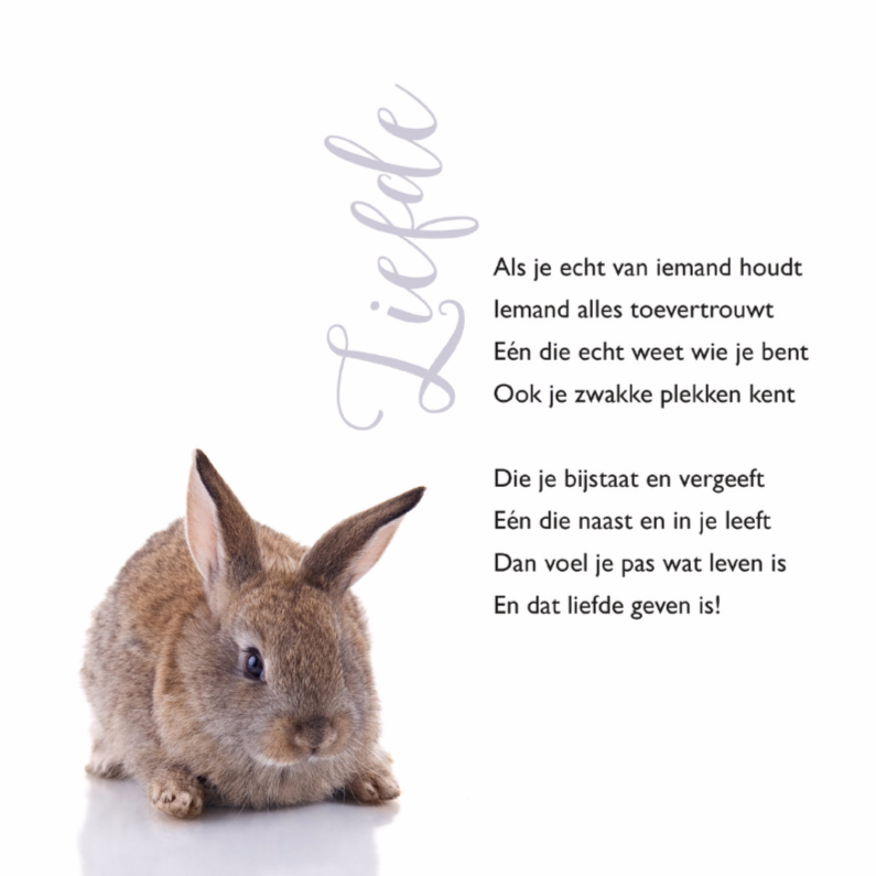 Gedichtenkaart met een lief konijntje - Gedichtenkaarten Gedichtenkaarten - Gedichtenkaart met een lief konijntje