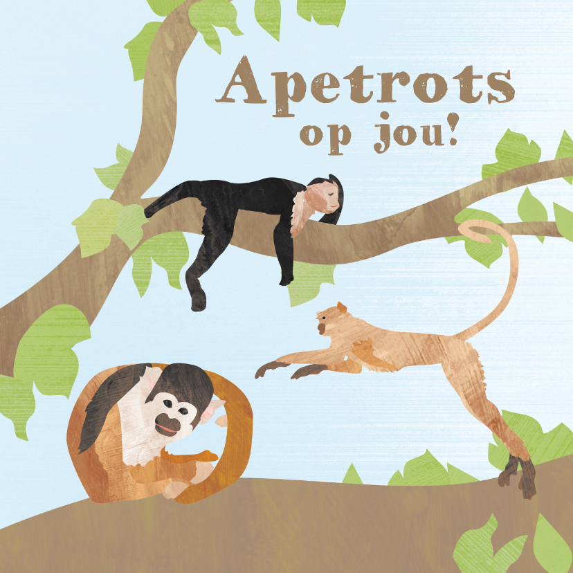 Geslaagd kaarten - Apetrots op jou