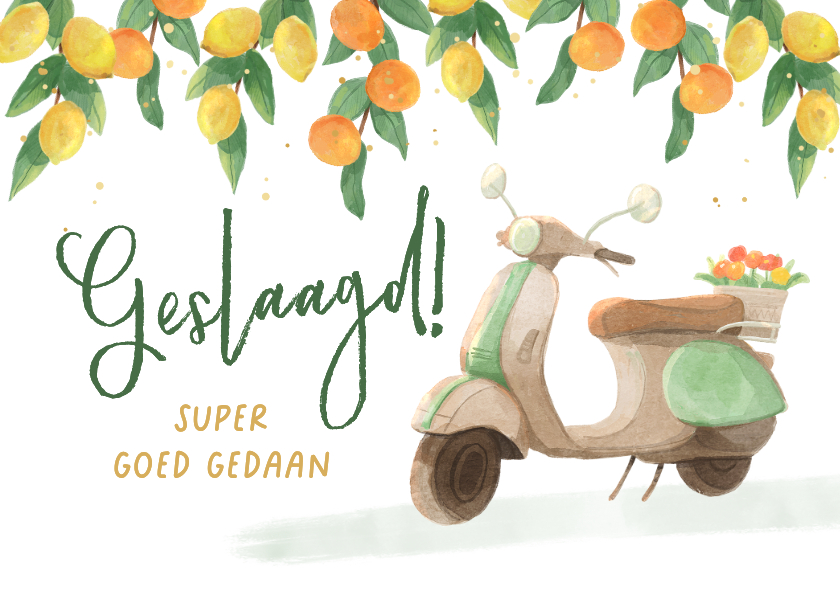 Geslaagd kaarten - Geslaagd bromfiets scooter illustratie rijbewijs gehaald