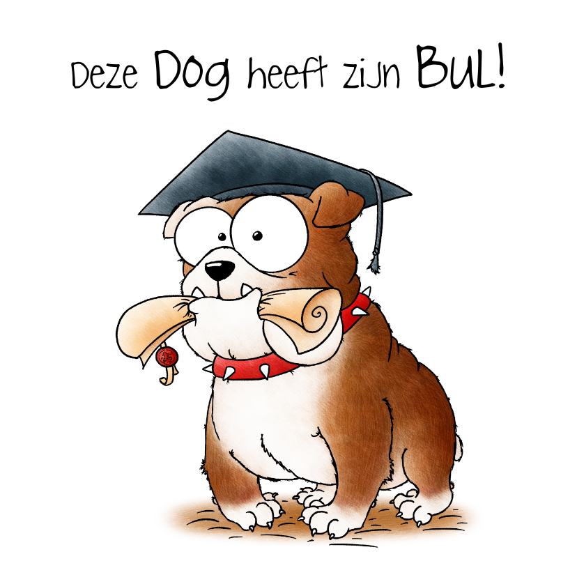 Geslaagd kaart bulldog - Deze dog heeft zijn bul! - Geslaagd kaarten Geslaagd kaarten - Geslaagd kaart bulldog - Deze dog heeft zijn bul!