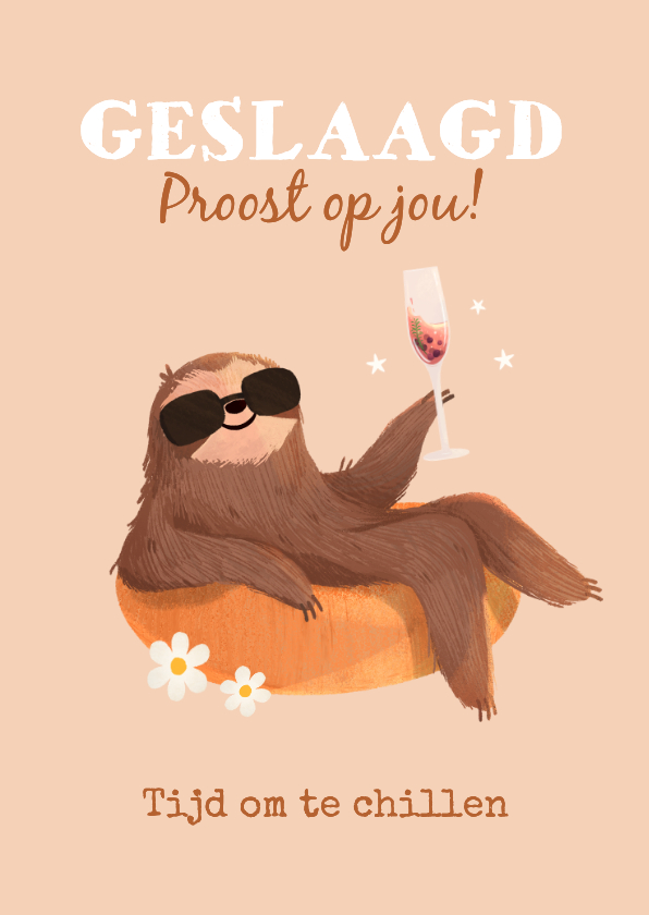Geslaagd kaart school proost luiaard chillen - Geslaagd kaarten Geslaagd kaarten - Geslaagd kaart school proost luiaard chillen
