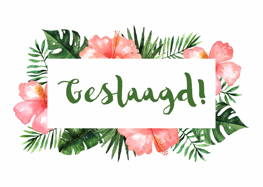 Geslaagd kaart Tropical - WW - Geslaagd kaarten Geslaagd kaarten - Geslaagd kaart Tropical - WW