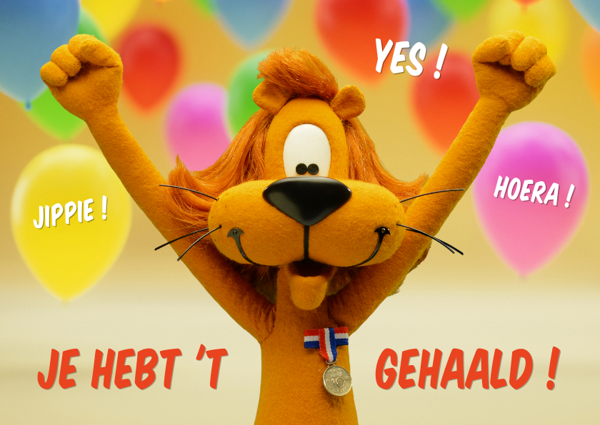 Geslaagd Loeki met medaille - A - Geslaagd kaarten Geslaagd kaarten - Geslaagd Loeki met medaille - A