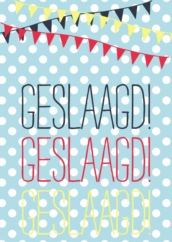 Geslaagd met vlag en wimpel - Geslaagd kaarten Geslaagd kaarten - Geslaagd met vlag en wimpel