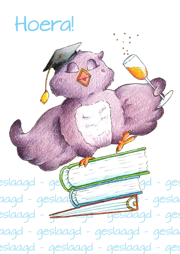 Geslaagd kaarten - Geslaagd Uil