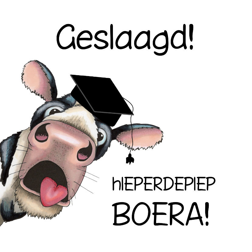 Geslaagdkaart boera met grappige koe - Geslaagd kaarten Geslaagd kaarten - Geslaagdkaart boera met grappige koe
